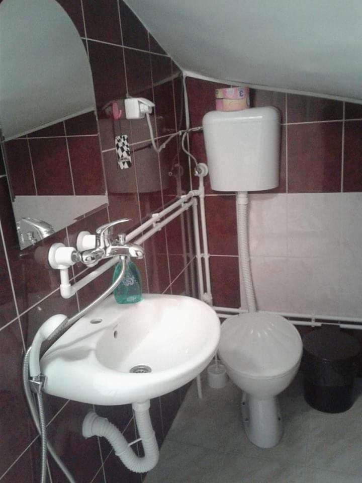 Privatan Smestaj Knjazevac Buitenkant foto